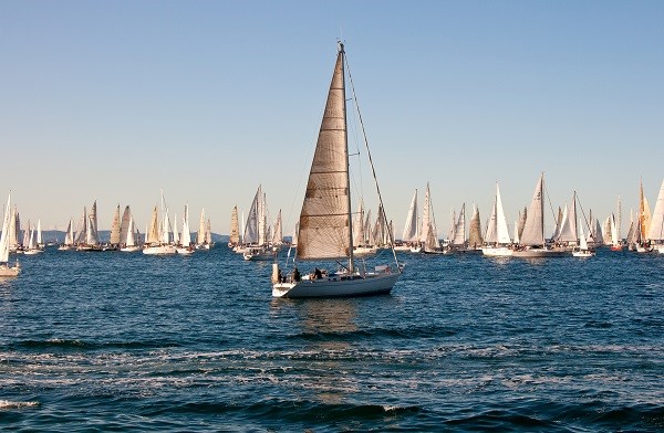 boats during the barcolana race in Trieste