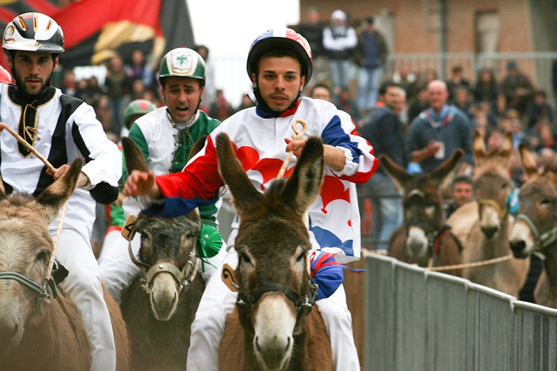Palio dei Somari italy in march