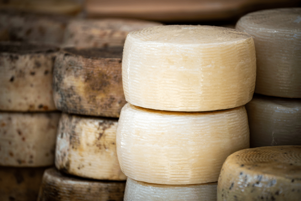 pecorino cheese