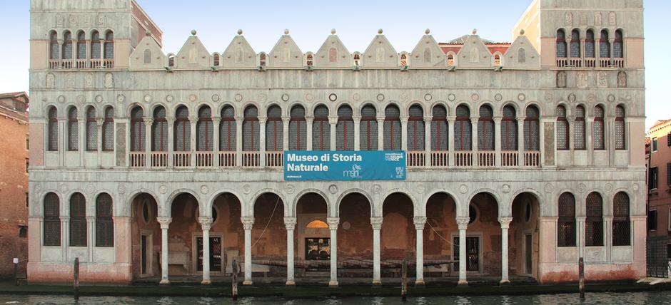 Building Italy natural history