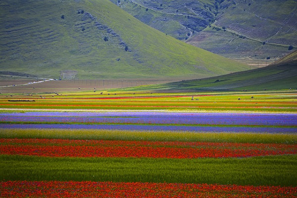 Colors in Umbria