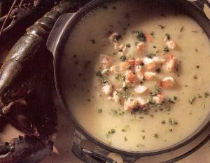 fennel soup with lobster