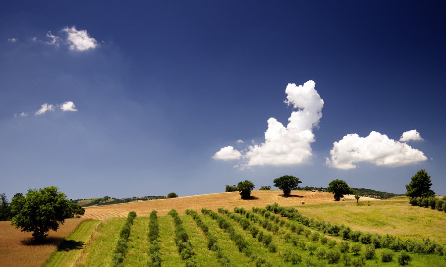 Maremma Grossetana, Italy. 