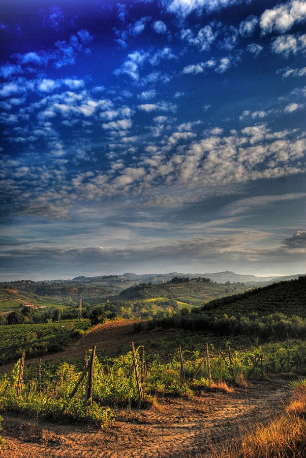Strade del vino in Tuscany