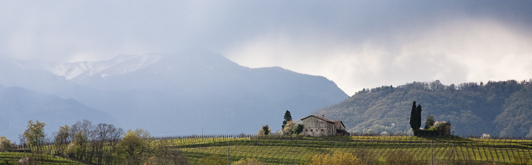 Valdobbiadene, where the Prosecco is produced