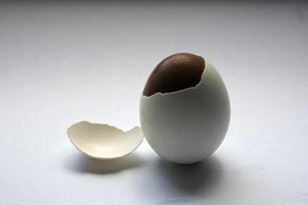 Traditional food easter
