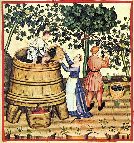 history of wine