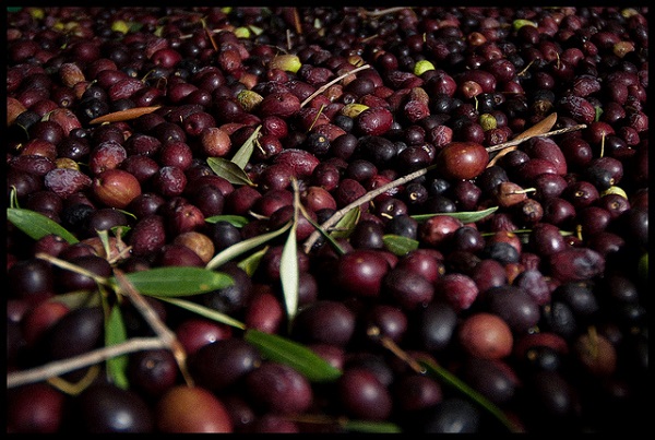 olives