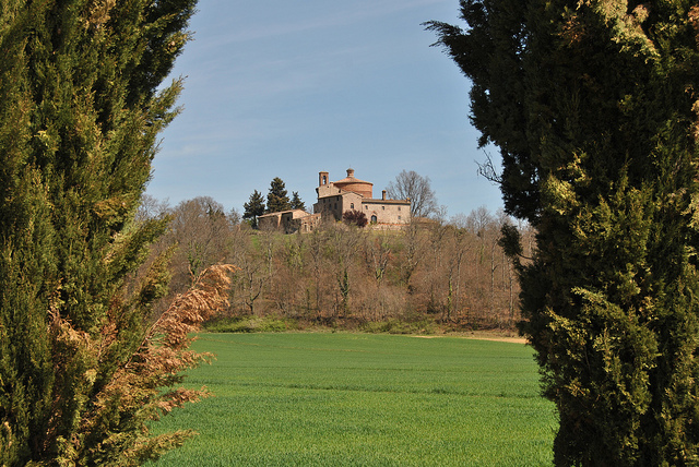 Montesiepi abbey