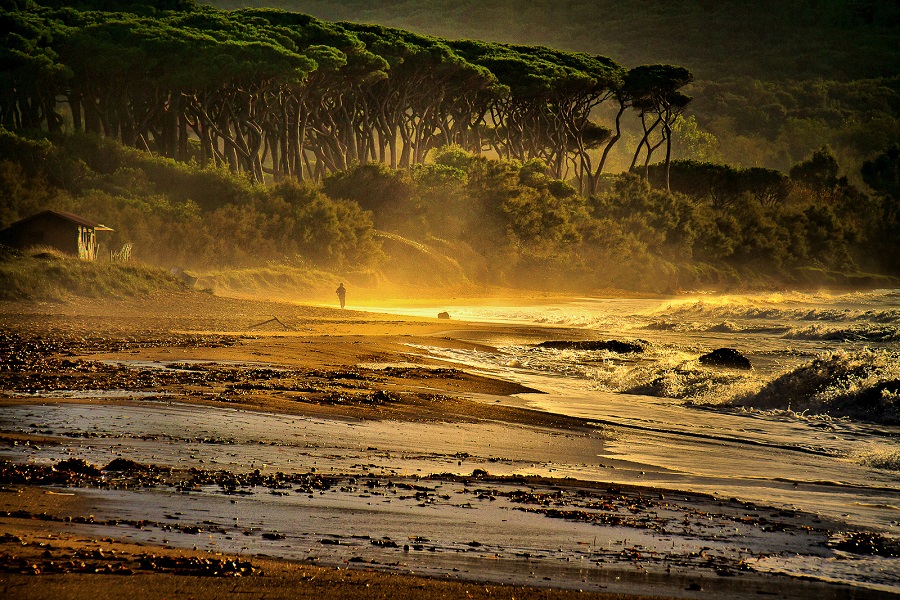 Seaside in Maremma