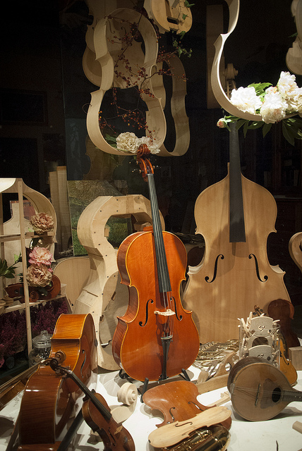 violin
