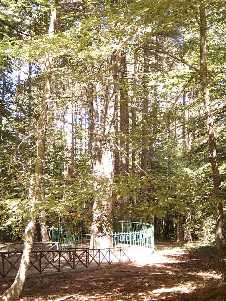 Aspromonte National Park - Cippo di Garibaldi 