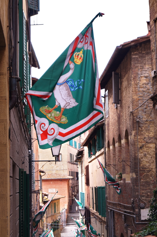 Palio di Siena