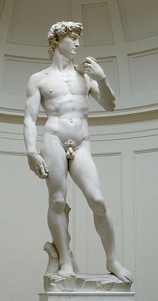 Michelangelo's David