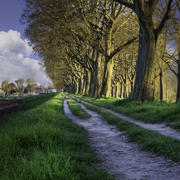 Le Mura, Walls of Ferrara 