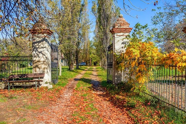 fall in the garden