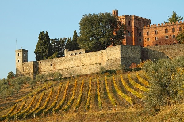 red wines