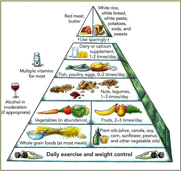 Mediterranean diet Pyramid