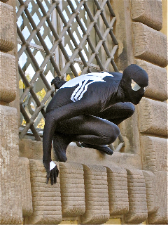 Venom