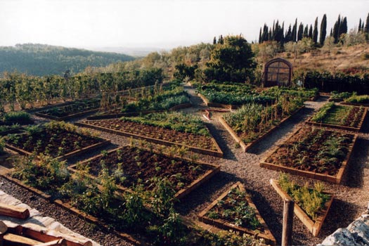 italian vegetable garden italian vegetable garden