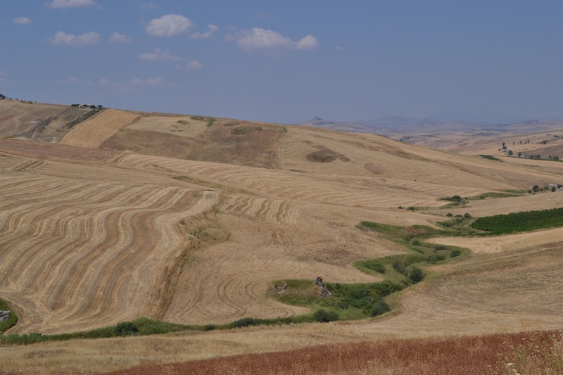 Magna Via Francigena