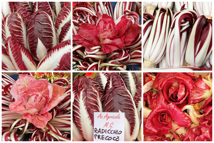 radicchio