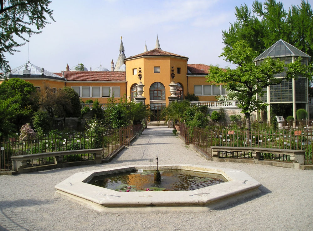 Padua - Botanic Garden Central fountain