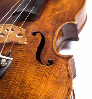 Violin Lombardy