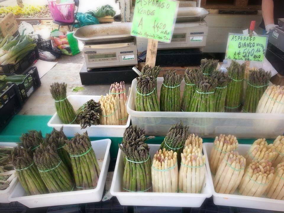 White Asparagus asparagus