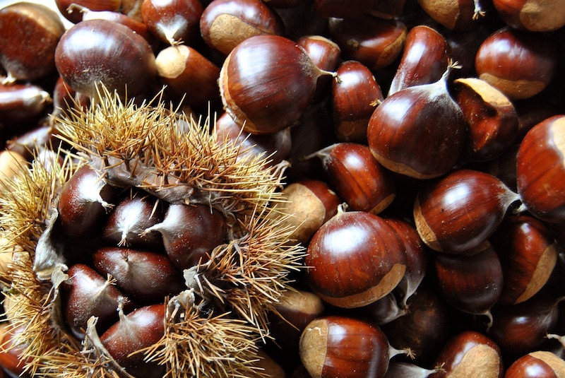 chestnut bread