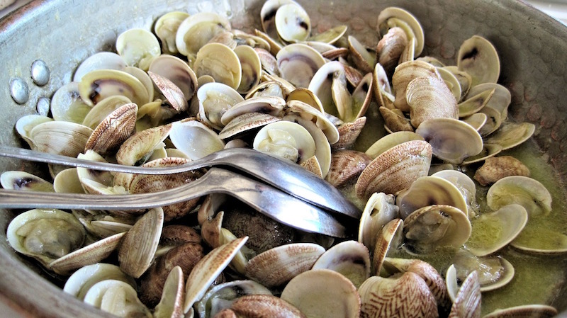 clams