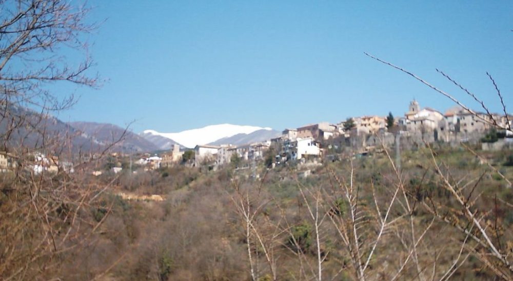 collepardo
