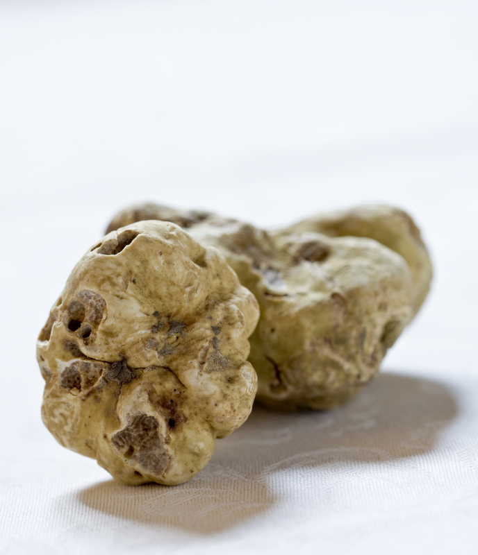 White Alba truffle