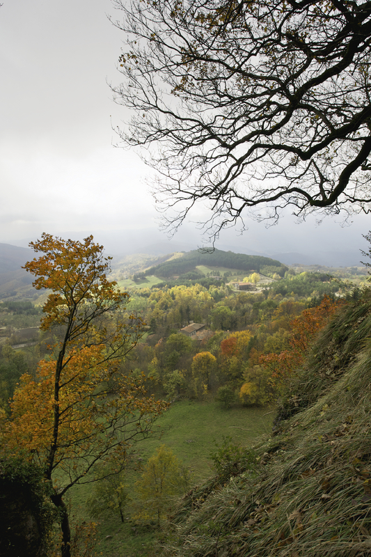 The Foreste Casentinesi, Monte Falternona, Campigna National Park