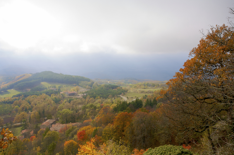 The Foreste Casentinesi, Monte Falterona, Campigna National Park
