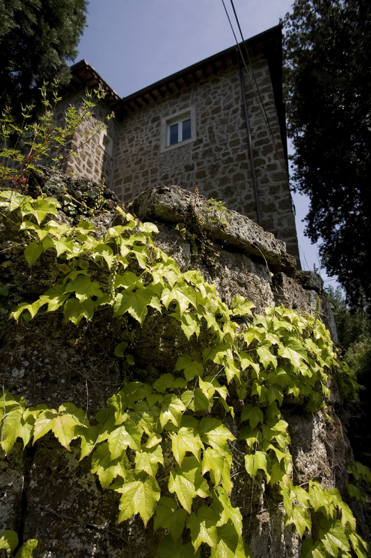 Sutri