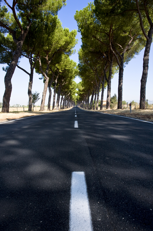 Via Appia - Appian Way