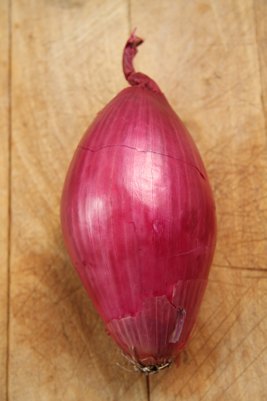 shopping in calabria: tropea red onion