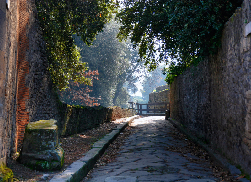 Vesuvio National Park - Pompei - Garden