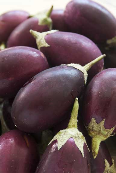 eggplants