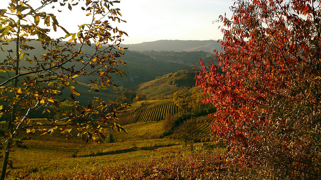 langhe in autumn