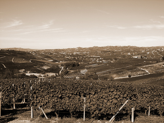 vineyards tour italy