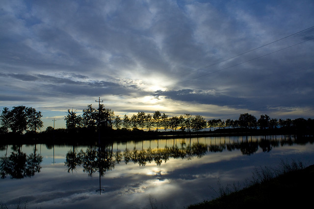 "Risaie" near Vigevano, in Italy 