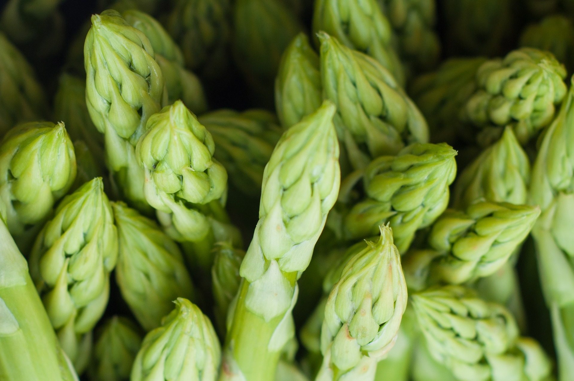 asparagus risotto