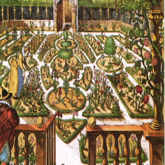 historic herb garden paintings