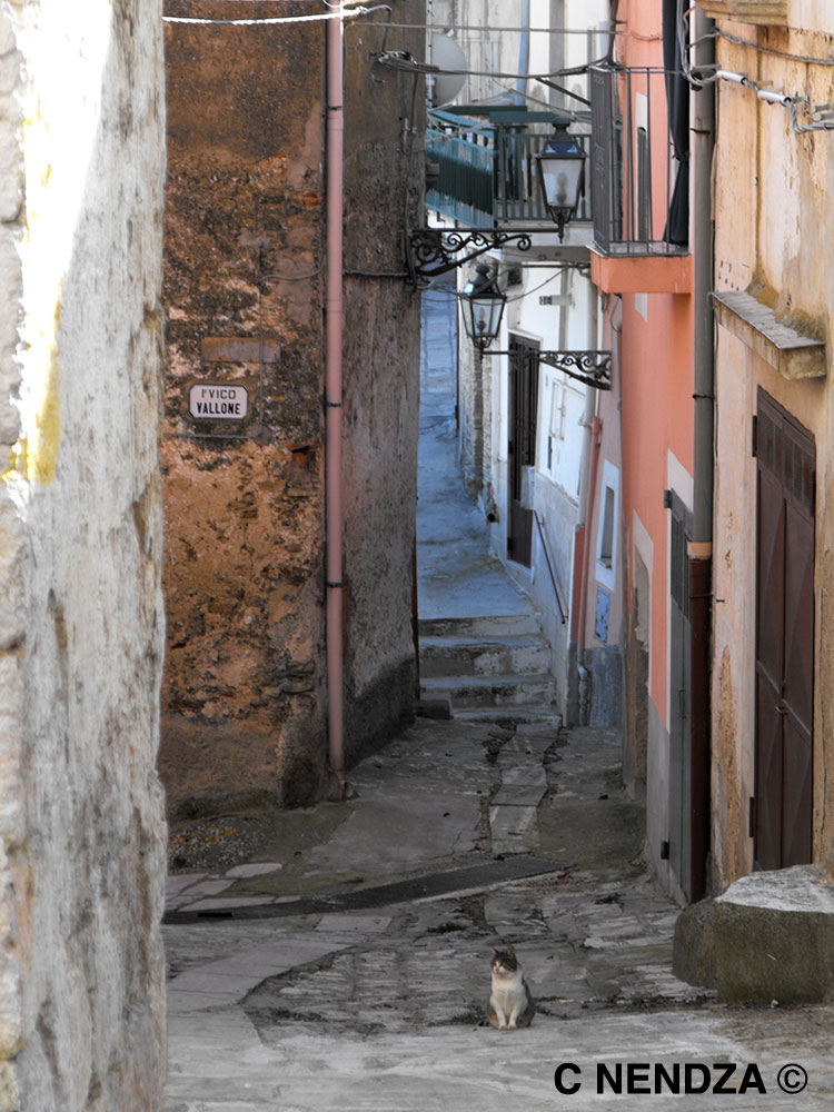 Irsina, street Irsina, street