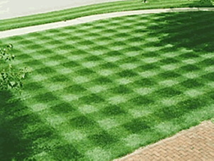 well manicured lawn