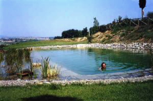 pool natural pure