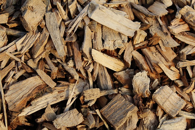 mulch saving water