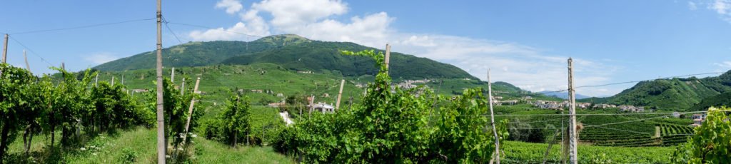 conegliano hills prosecco unesco